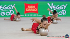 edera ravenna foto pagliaricci   simone ferraro lup04886 copia 